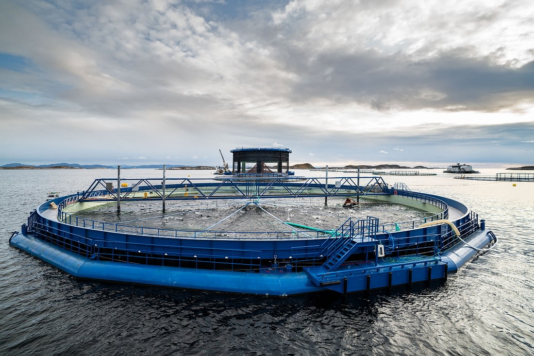 Aquatraz semi-lukket merd. Aquatraz G2 i bakgrunnen og Aquatraz G1 foran
