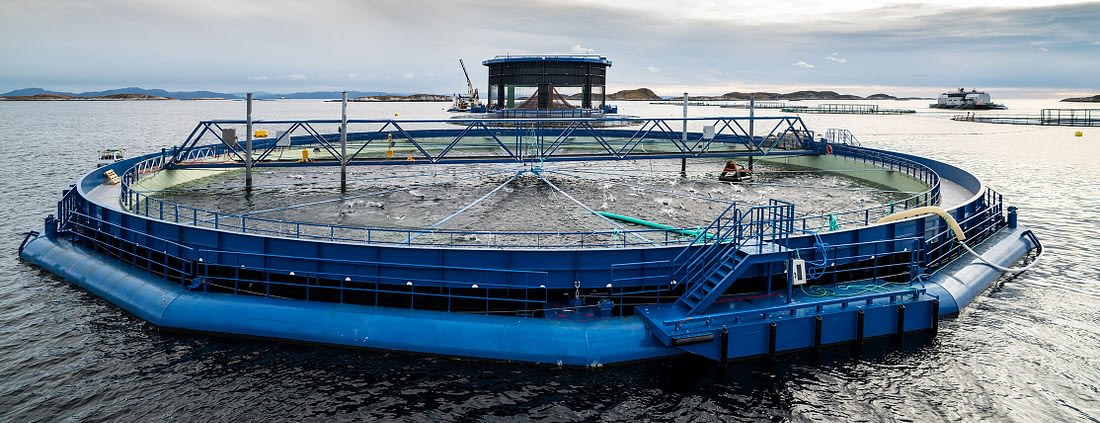Aquatraz semi-lukket merd. Aquatraz G2 i bakgrunnen og Aquatraz G1 i forgrunnen